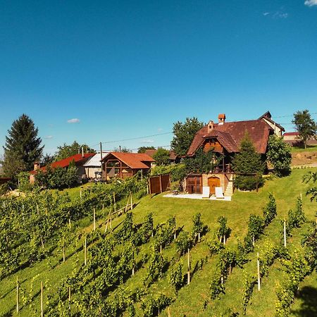 Holiday Home Wine & Relax Sveti Martin Na Muri Gornji Koncovcak Екстер'єр фото