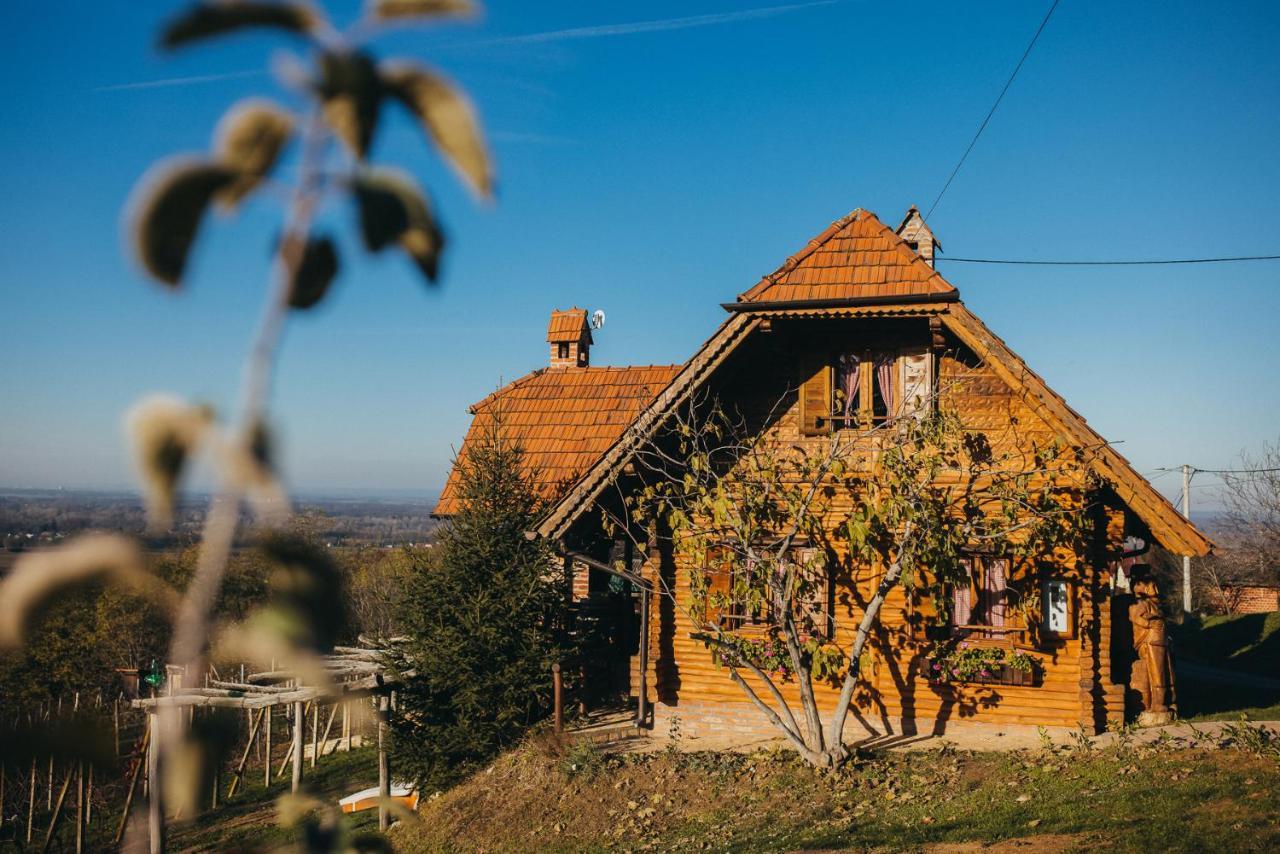 Holiday Home Wine & Relax Sveti Martin Na Muri Gornji Koncovcak Екстер'єр фото