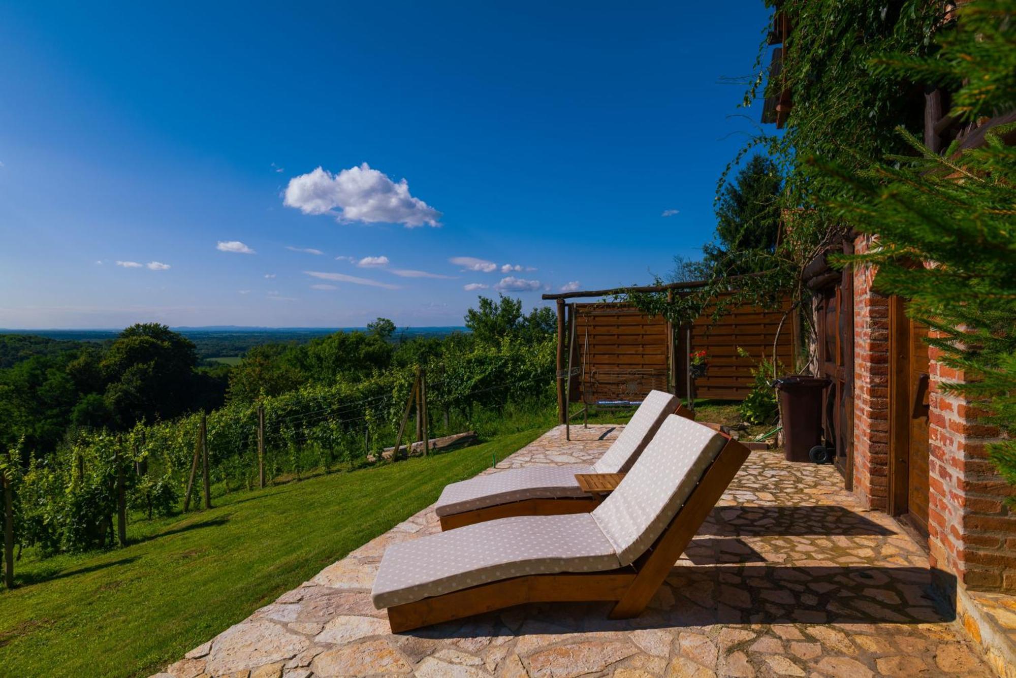 Holiday Home Wine & Relax Sveti Martin Na Muri Gornji Koncovcak Екстер'єр фото