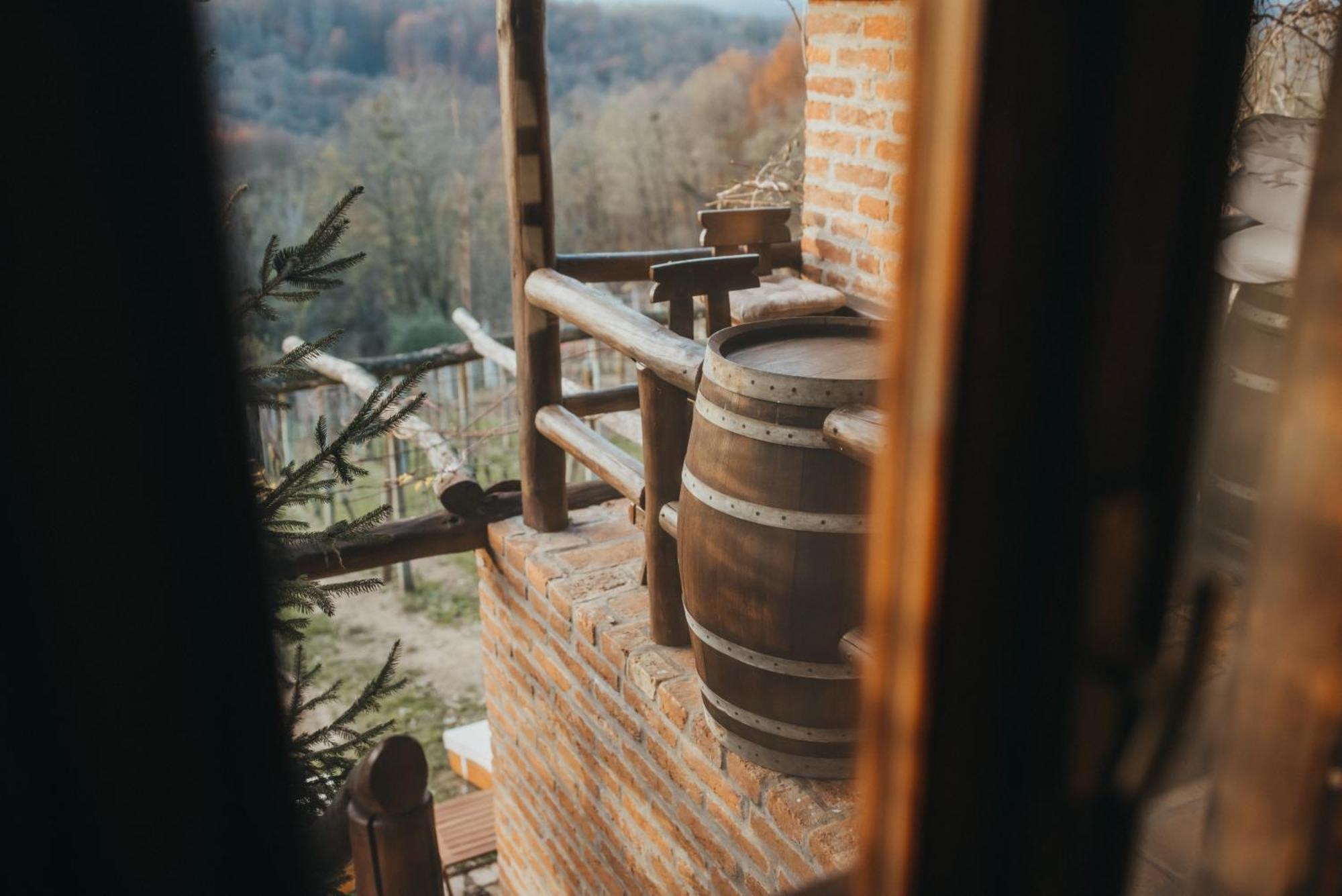 Holiday Home Wine & Relax Sveti Martin Na Muri Gornji Koncovcak Екстер'єр фото